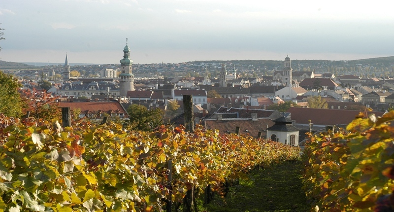 Hungary Sopron wine region, West Hungary