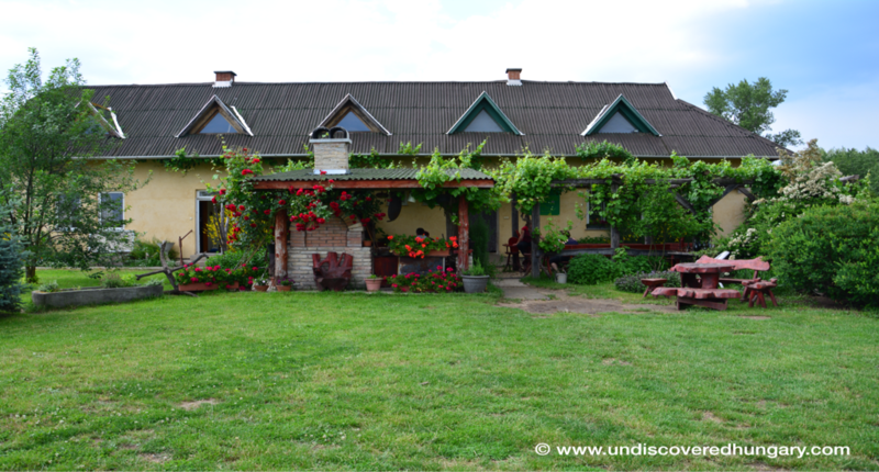 Hungary Zablakert Equestrian Farm with accommodation near Budapest