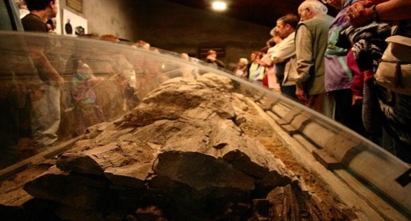 Ipolytarn%c3%b3c_prehistoric_fossil_museum_hungary_2