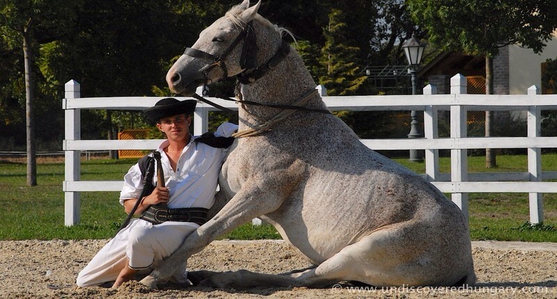 Csikos_horse_riding_hungary